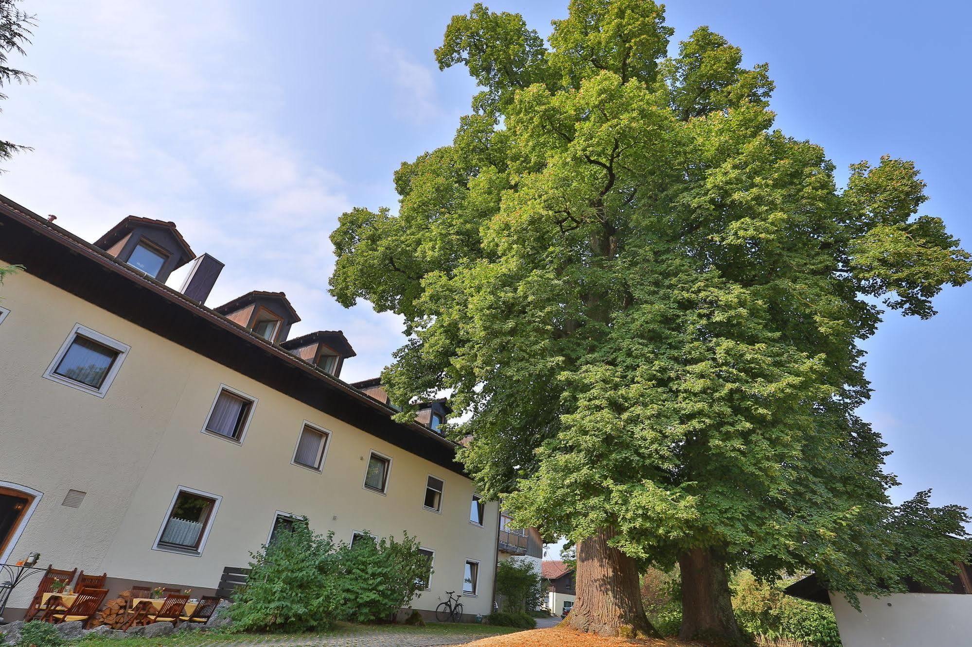 Hotel Bockmaier Oberpframmern Zewnętrze zdjęcie